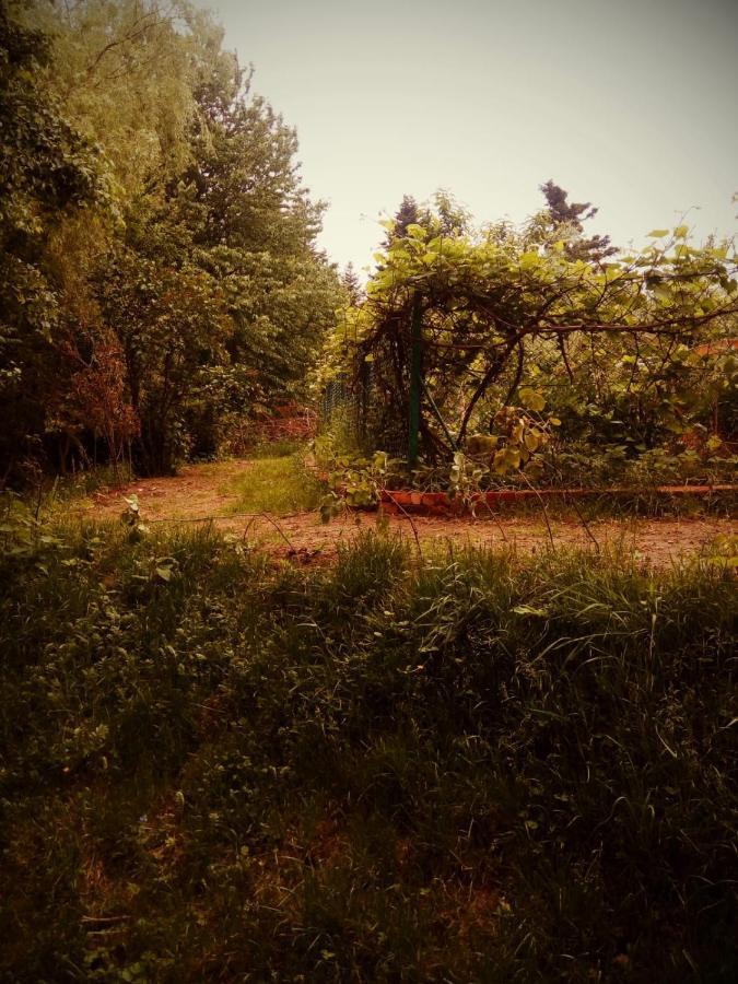 Agroturystyka U Babci شخوف المظهر الخارجي الصورة